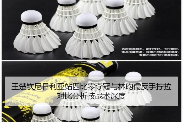 wang-chu-qin-ni-ri-li-ya-zhan-si-bi-ling-duo-guan-yu-lin-yun-ru-fan-shou-ning-la-dui-bi-fen-xi-ji-zhan-shu-shen-du-2-600.jpg